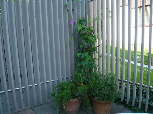 Sichtschutzwand Gartenterrasse